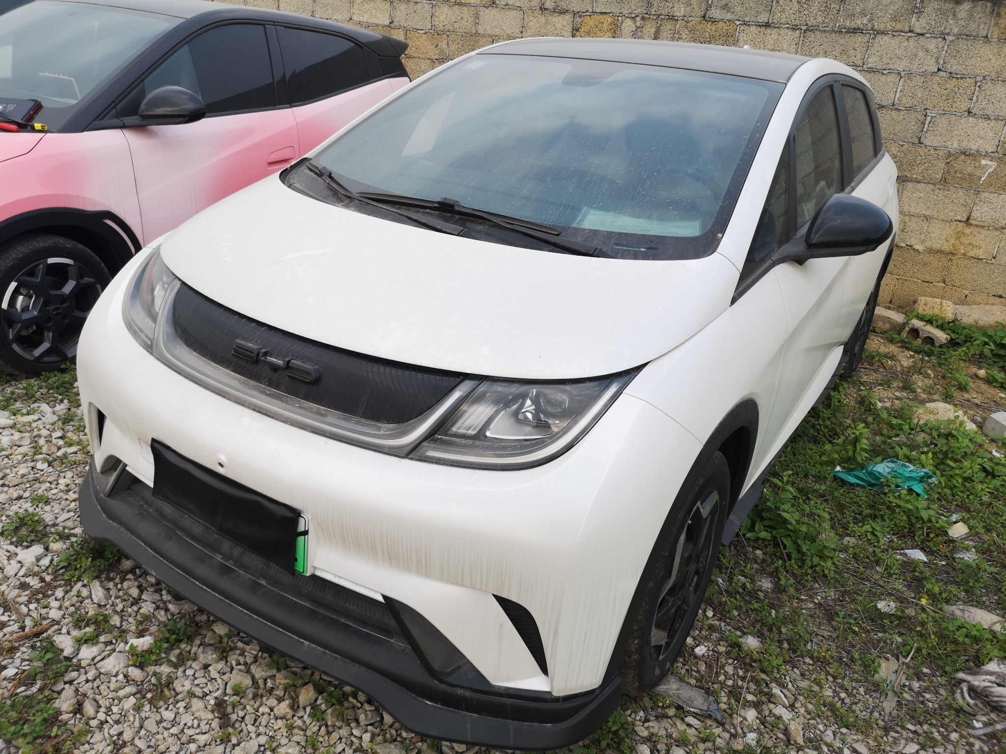 Parte inferior delantera