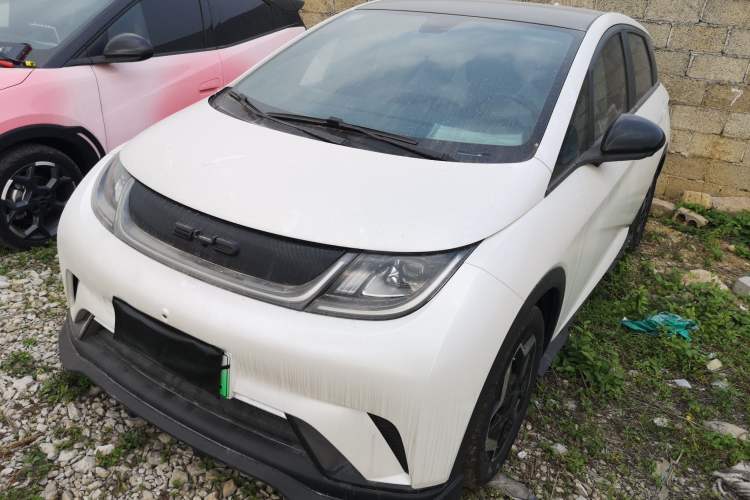 Used BYD Dolphin 2021 405 km Fashion Edition