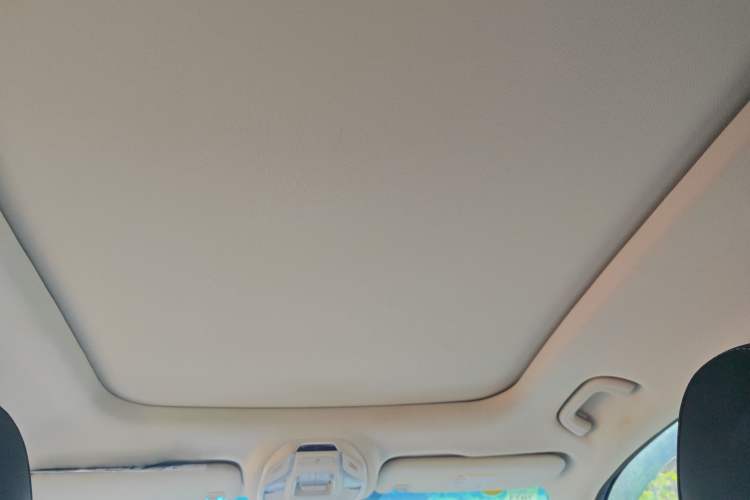 Used Farizon FX 2020 1.8T Smart Edition 4-Seater Headliner