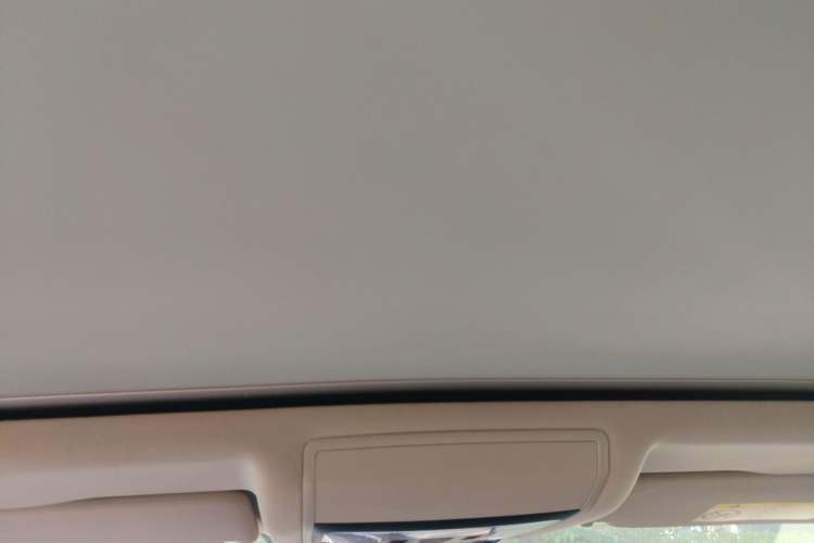 Used Volkswagen Passat New Energy 2020 430 PHEV Hybrid Elite Edition China VI Standard Headliner