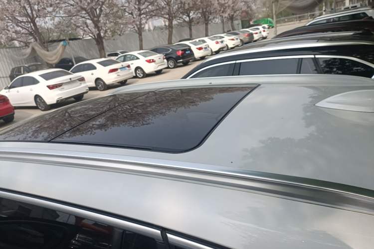 Used BMW X1 2020 sDrive20Li Fashion Model Roof