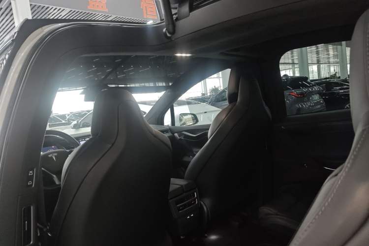 Used Tesla Model X 2016 X P100D Performance High-Performance Edition Headliner