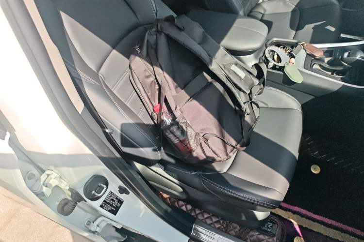 Used Toyota Wildlander 2021 2.0L CVT Two-Wheel Drive Luxury Edition Right Front Seat