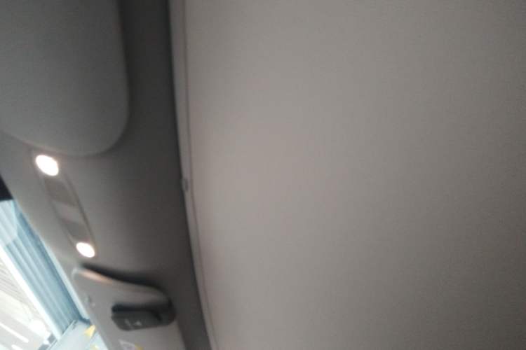 Used Tesla Model Y 2024 Rear-Wheel-Drive Version Headliner