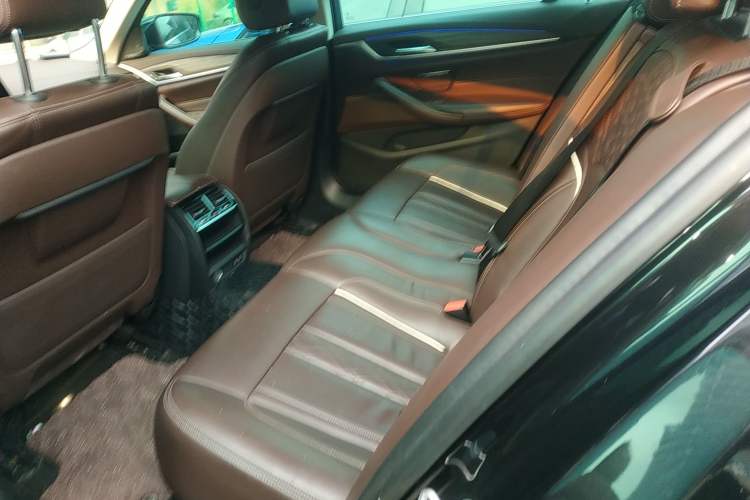 Used BMW 5 Series New Energy 2020 530Le Luxury Package Left Rear Seat