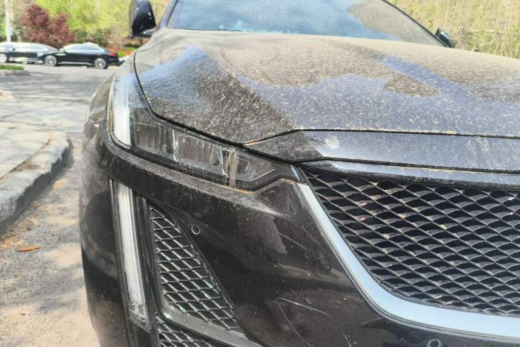 Used Cadillac CT5 2020 Updated 28T Leading Sporty Version
