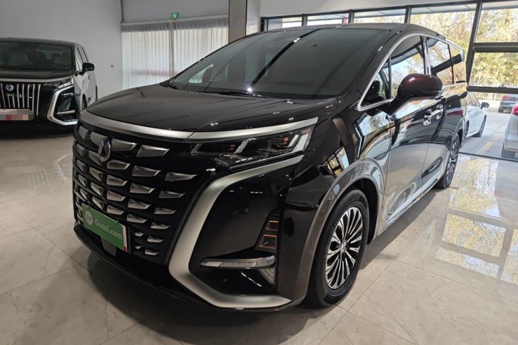 Used Denza D9 2024 PIONEER Four-Seat Pioneer Edition