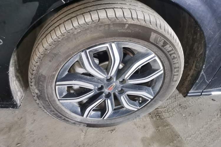 Used Hongqi HQ9 2023 2.0T Smart Connect Flagship Edition