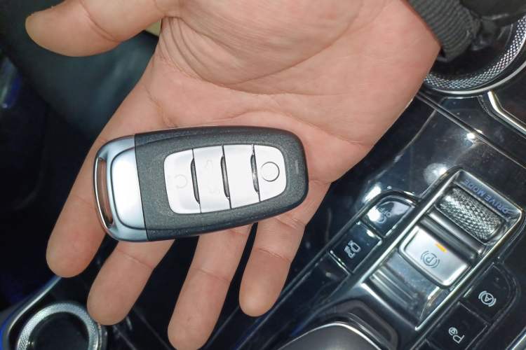 Used Hongqi H9 2020 3.0T Smart Connect Flagship Edition
