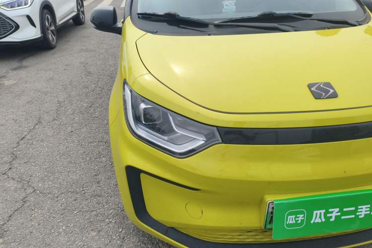 Used SOL E10X 2022 Flower Fairy Design Four-Leaf Clover
