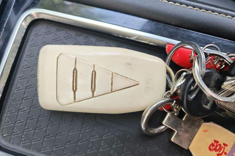 Used Venucia Star 2020 260T Automatic 48V Mild Hybrid Turbocharged Star Edition