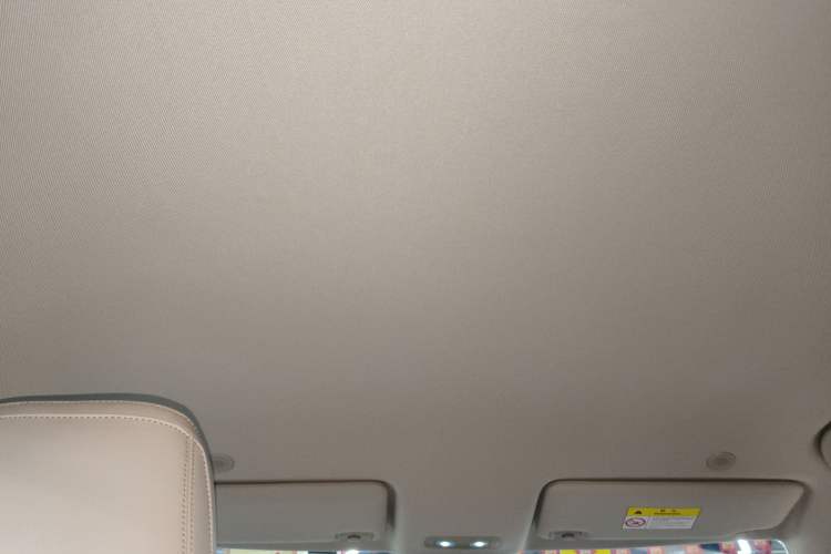 Used BYD Yuan UP 2024 401 km Active Version Headliner