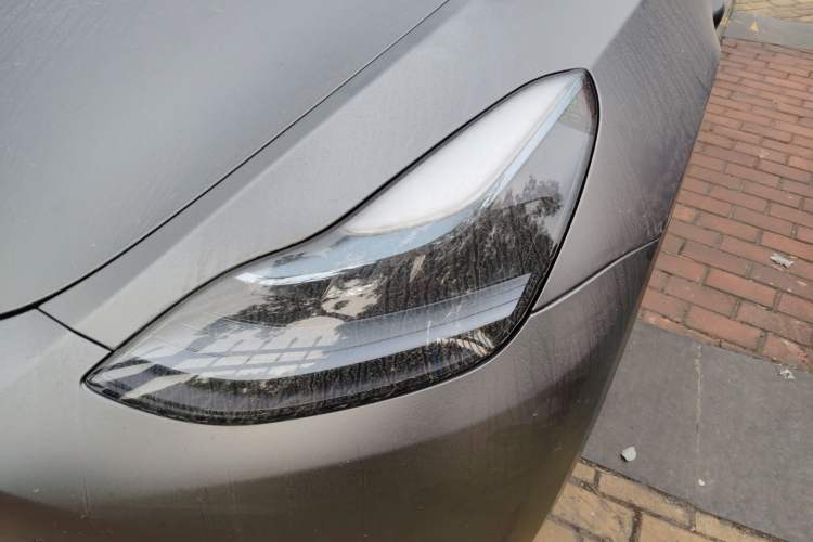 Used Tesla Model Y 2023 Long-Range All-Wheel-Drive Version
