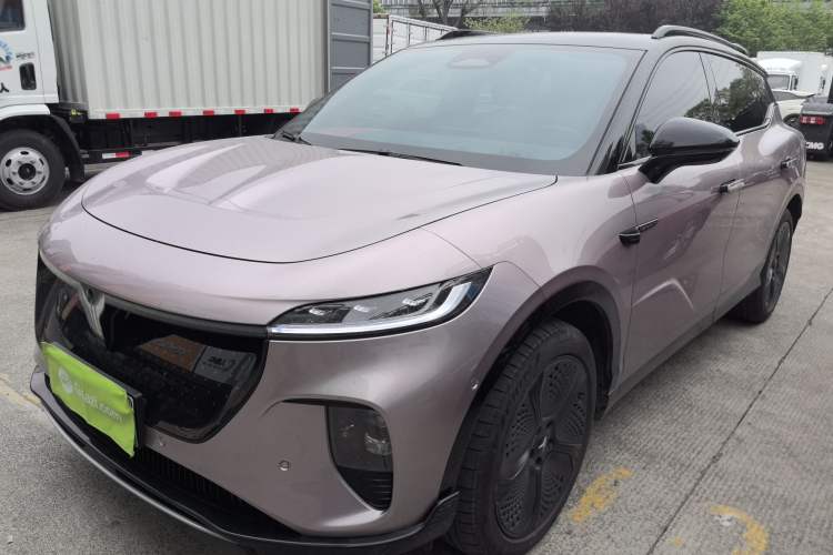 Used VOYAH COURAGE 2024 Four-Wheel Drive Global Edition