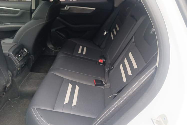 Used BYD Qin Pro New Energy 2018 DM 1.5TI Automatic Smart Connect Enjoyment Model Left Rear Seat