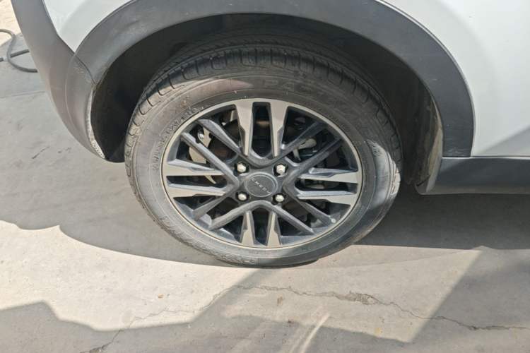 Used Chery Little Ant 2024 251km True Love Edition