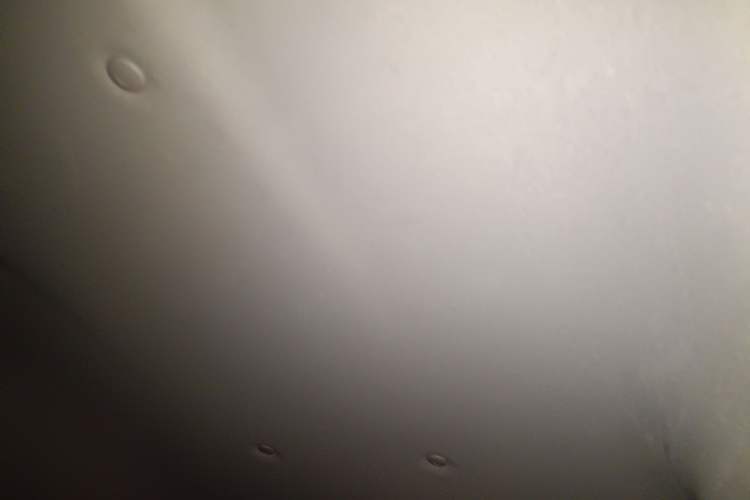 Used FORTHING Lingzhi 2020 M5L 1.6L Utility Model
