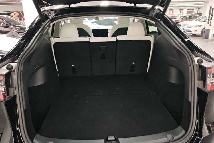 Used Tesla Model Y 2021 Standard Range Rear-Wheel Drive Version
