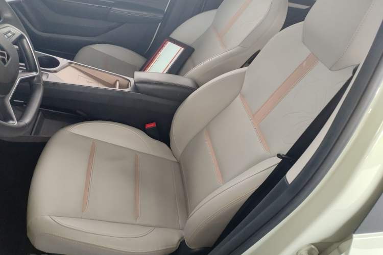 Used SOL E10X 2022 Flower Fairy Design Four-Leaf Clover