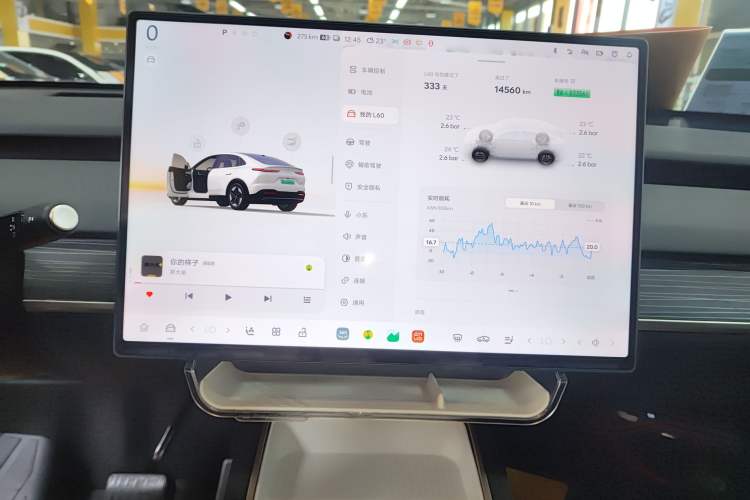 Used ONVO L60 2024 60 kWh Rear-Drive Version Audio And AC Panel