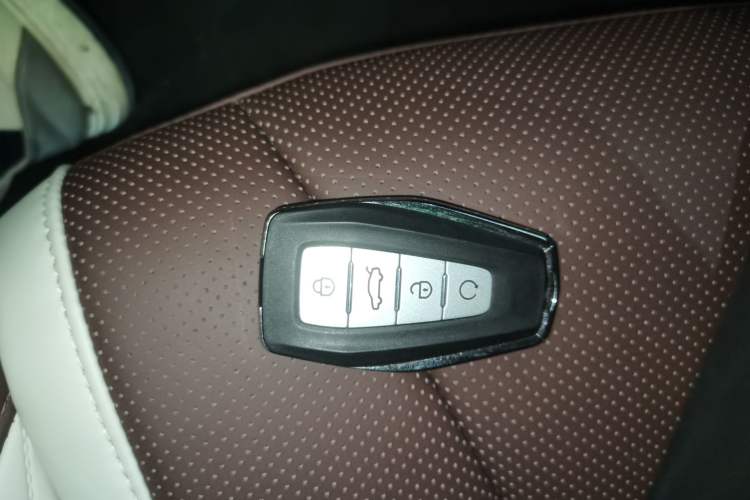 Used Geely Auto Monjaro L 2021 2.0TD DCT EVO Two-Wheel Drive Prestige Version