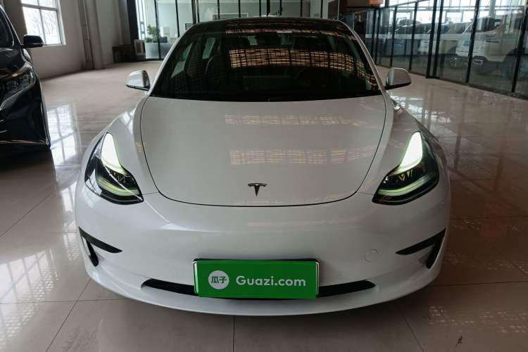 Used Tesla Model 3 2021 Revised Version Standard Range Rear-Wheel Drive Upgraded Edition 3D1