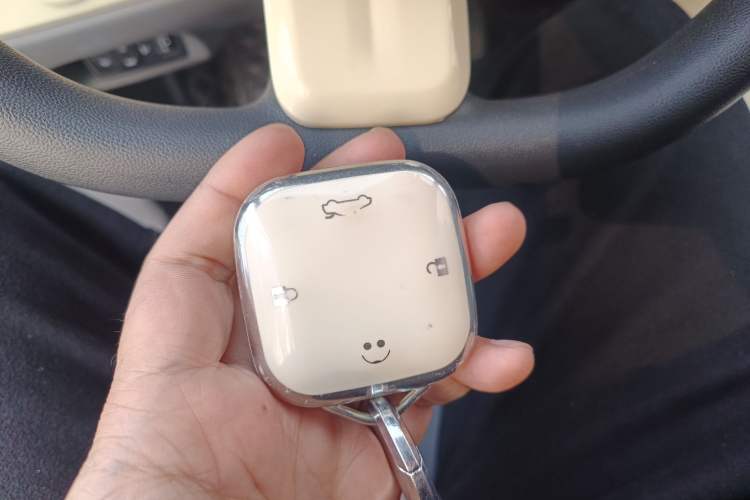 Used Qiyuan Lumin 2022 210km Sweet Edition