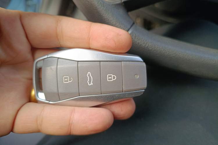 Used SOL E10X 2022 Flower Fairy Design Four-Leaf Clover Vehicle Key