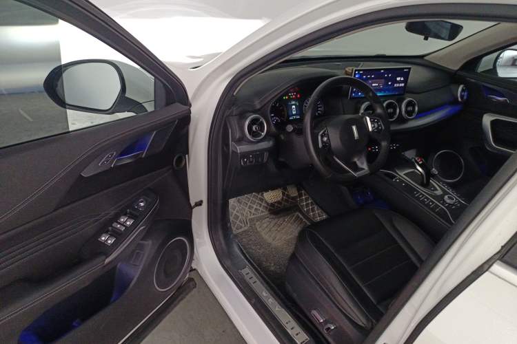 Used Wey VV5 2020 1.5T Two-Wheel Drive Color Pioneer