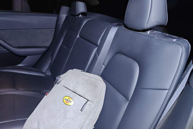 Used Tesla Model Y 2024 Rear-Wheel-Drive Version Left Rear Seat