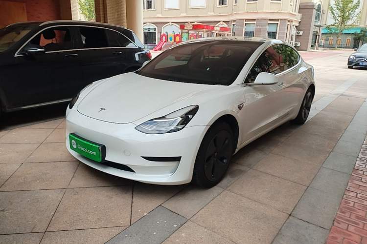 Used Tesla Model 3 2020 Standard Range Rear-Wheel Drive Upgraded Version