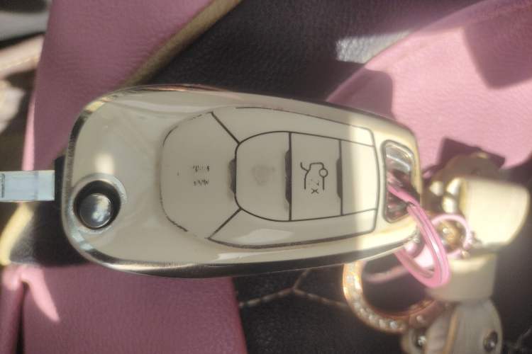 Used Chevrolet Cavalier 2020 325T Automatic Enjoyment Edition