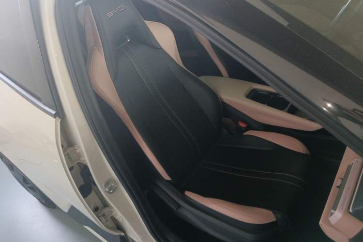 Used BYD Seagull 2024 Honor Edition 305km Dynamic Version Right Front Seat