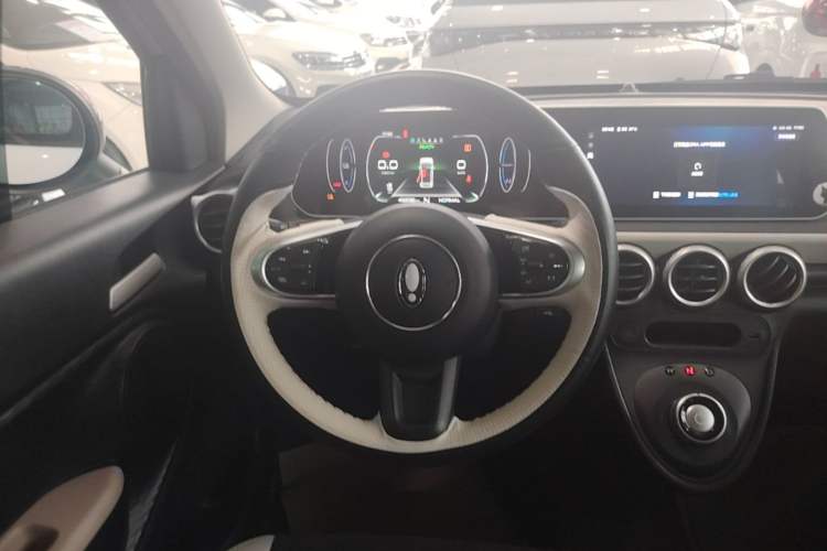 Used ORA Black Cat 2019 351 km Lingzhi Edition
