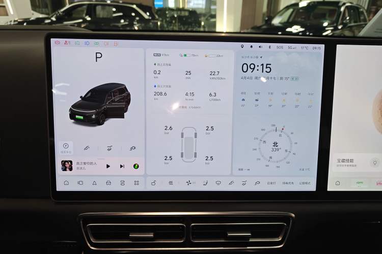 Used Li Auto L9 2023 Pro Model