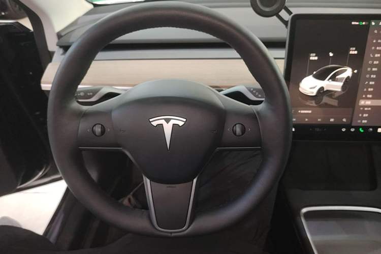 Used Tesla Model 3 2022 Rear-Wheel-Drive Version
