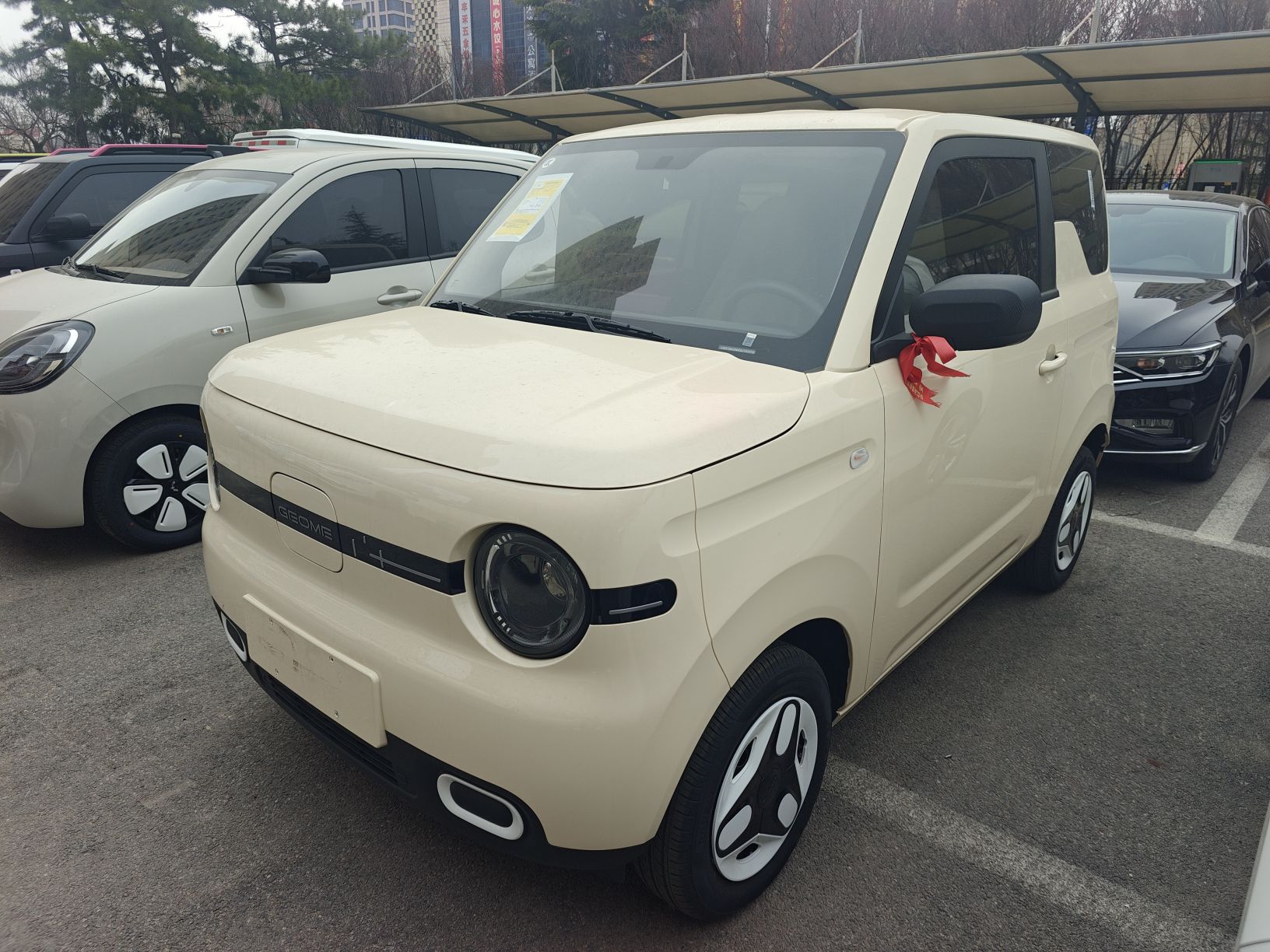 Parte inferior delantera