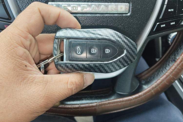 Used Leopaard CS10 2017 2.0T Manual Excellence Edition