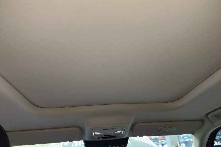 Used Haval Raptor New Energy 2023 Hi4 102 Exploration Edition Headliner