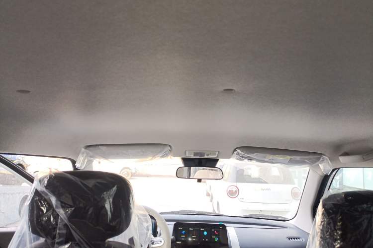 Used Qiyuan Lumin 2026 Model Treasure Edition 205km Beloved Beige Guoxuan