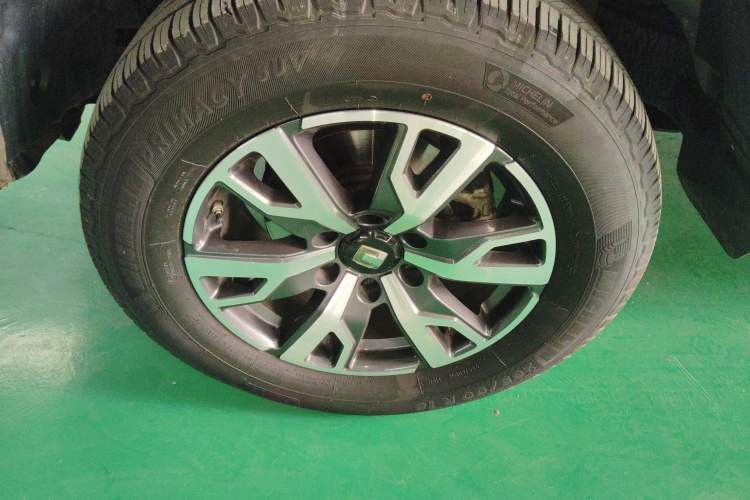 Used Tank 300 2024 2.0T Crosser