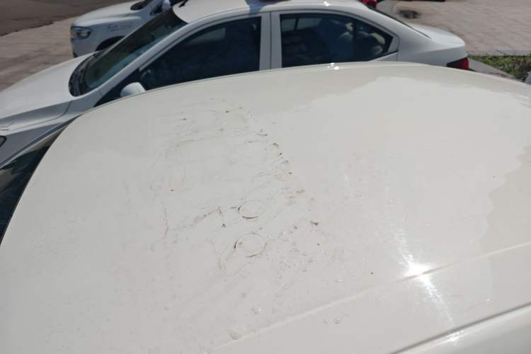 Used Ford Escort 2017 Revised Version 1.5L Manual Comfort Edition
