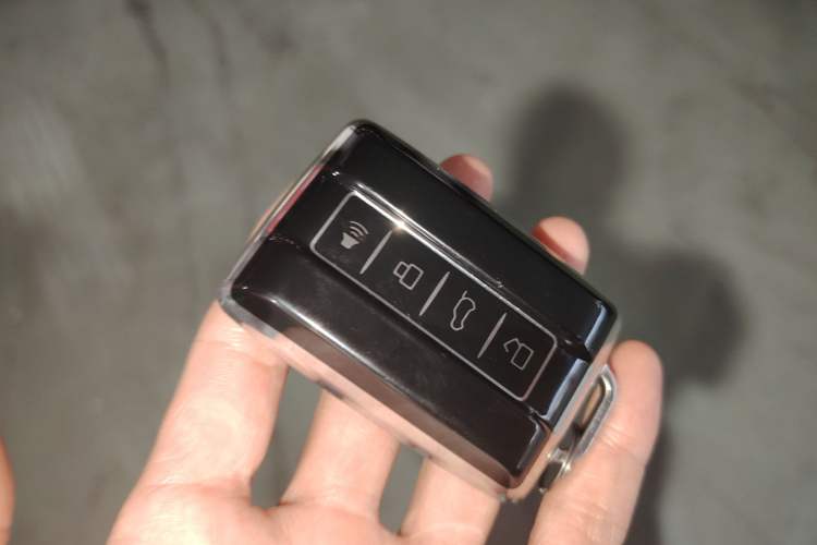 Used Tank 300 2021 City Edition 2.0T—Truly Stylish