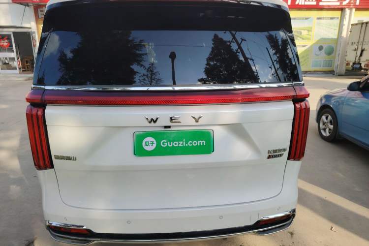 Used Wey Gaoshan 2023 Four-Wheel Drive Flagship Edition