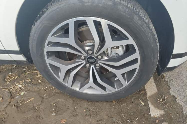 Used Land Rover Range Rover Evoque 2024 Aurora L 249 PS Prestige Light-Chasing Edition