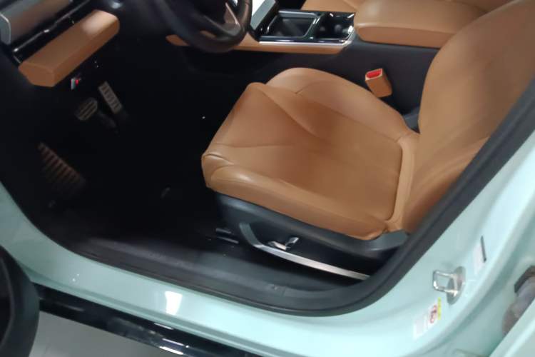 Used XPeng P5 2021 600P