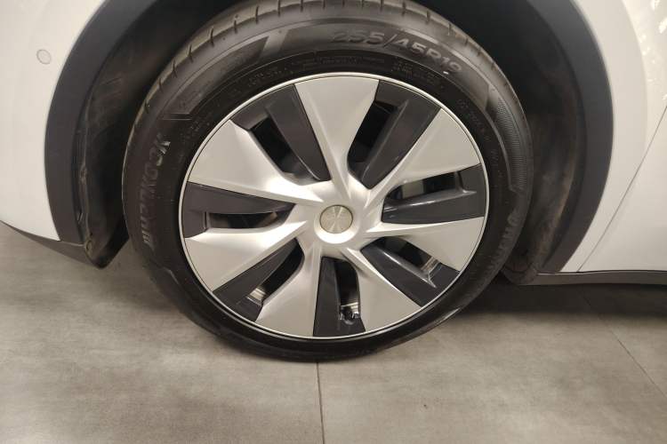 Used Tesla Model Y 2021 Standard Range Rear-Wheel Drive Version
