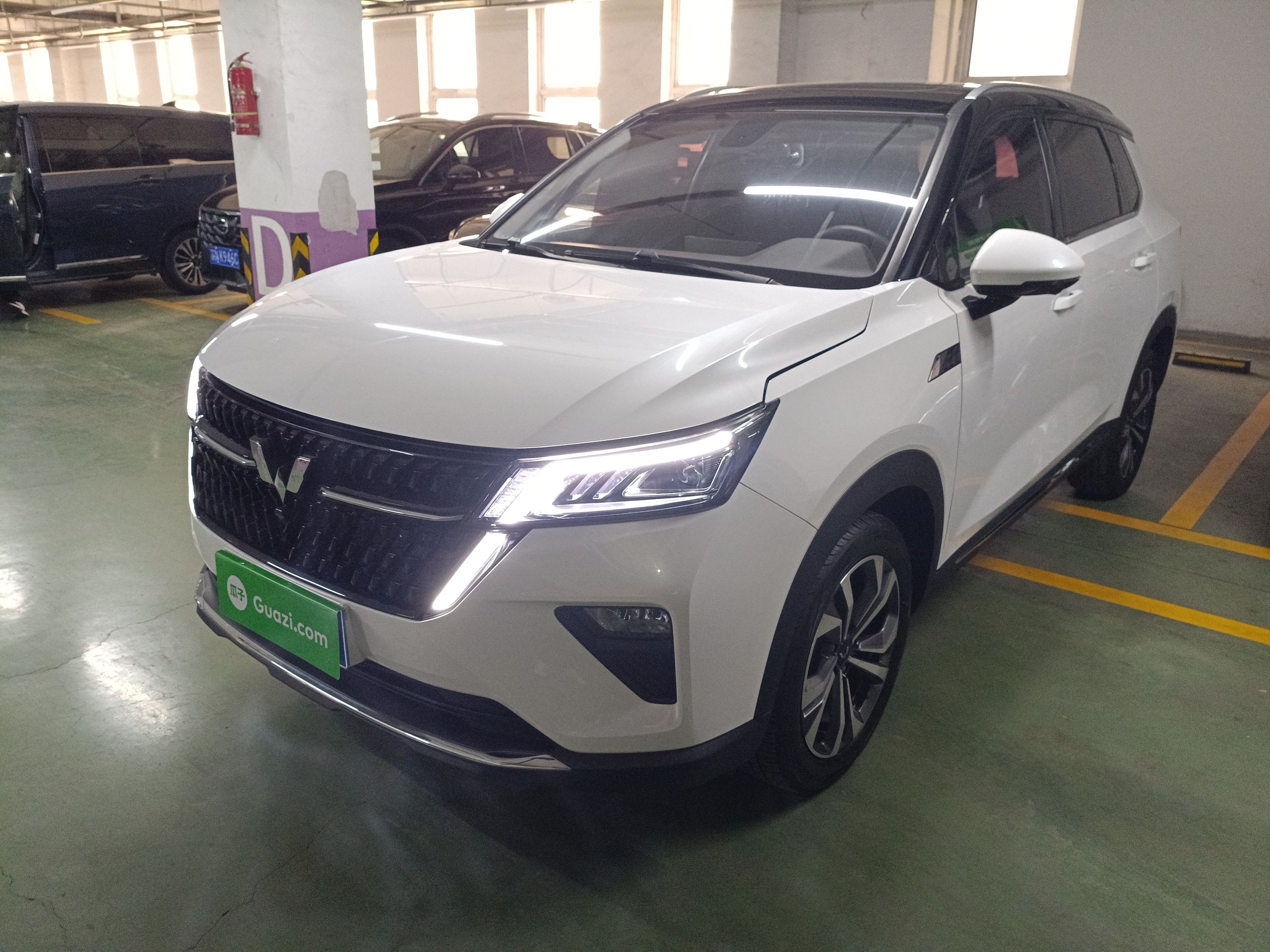 Parte inferior delantera