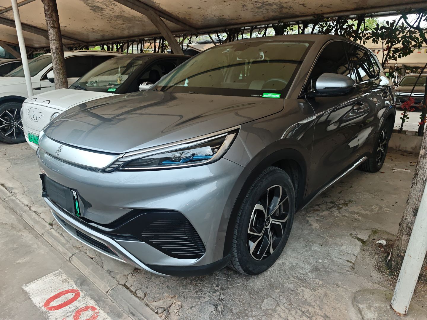 Parte inferior delantera