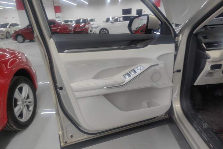 Used Haval H6 2024 2.0T Two-Wheel Drive Max